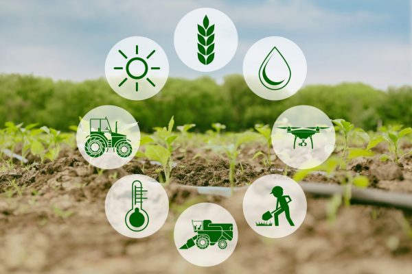 agriculture industry